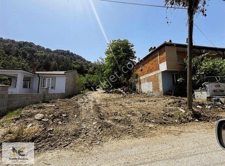 Oylat Asfaltına Cepheli İmarlı Arsa 865m2 Yol+su+elektrik Mevcut