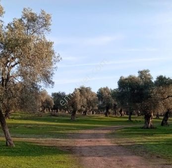 Bozburun'da Satılık Tarla