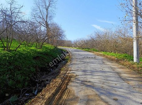 Ferizli Ağacık Çiftlik Yapımına Uygun Yolu Mevcut Satılık Arazi