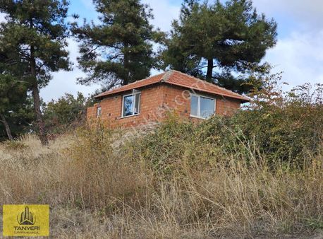 Merkez Yukarı Okçularda Yol Su Elektrik Mevcut Satılık Tarla