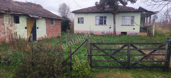 Samsun Carsamba Yenikoseli Koyunde Evli Ahirlu Cakiltak Findik Bahcesi