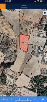 Heciz Köyü Civarı Tarla