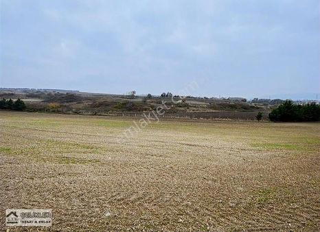 Gökçealinin Bitişiğinde Subaşında Müstakil Parsel 11 Dönüm Kupon