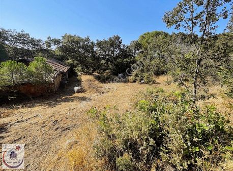 Kuzey Sancak'tan Satılık Yola Sıfır Fıstıklık