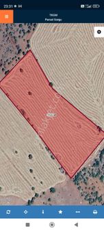 Sezenler Emlaktan Güneysınır Habiller Mahallesi'nde Satılık Tarla