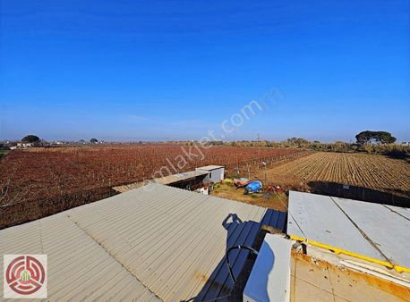 Yeni Harmadanlında Gediz Nehrine Sınır 35 Dönüm Satılık Bağ