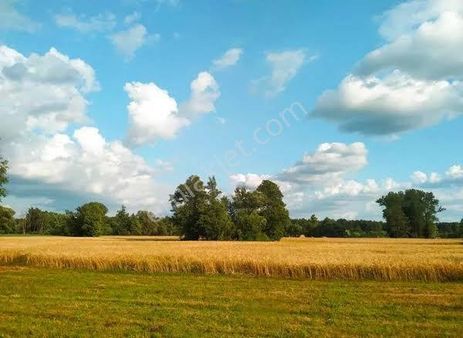 Bayramhacılıda 100 M2 Satılık Arsa