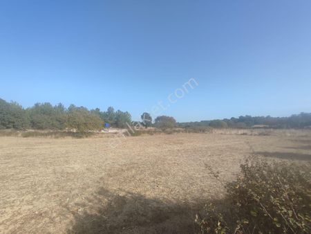 Satılık Tarla Manisa Yunusemre Dazyurt 737 M2