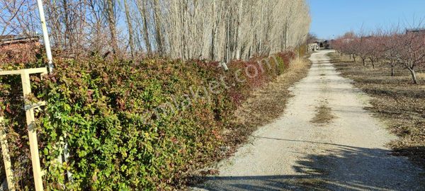 Yüksel Emlaktan Satılık 12.342 Metre Kare Bahçe İçinde 2 Adet Ev