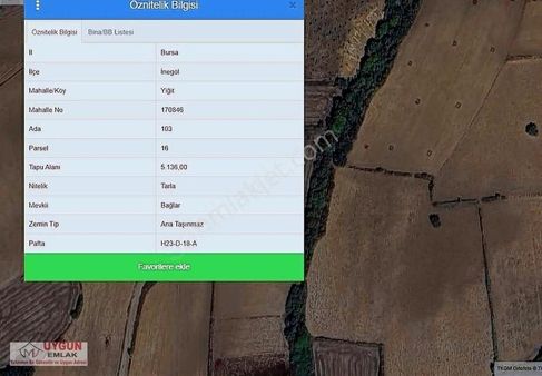 Yiğit Mahallesinde Resmi Yola Cephe Tarla