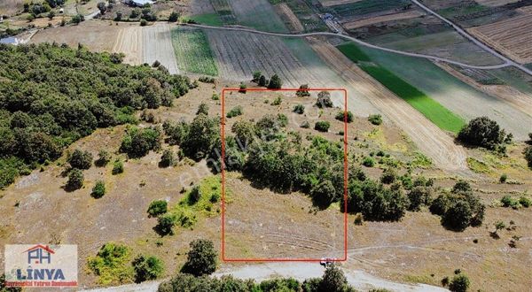 Kocaeli Derince Terziler Köyün'de %5 İmarlı Tarla