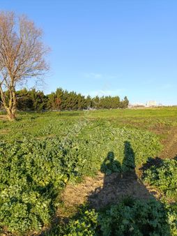 Büyükçekmece Merkez Mahallesi Acil Satılık Arsa