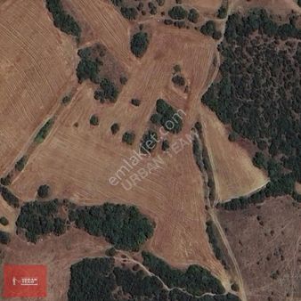 Bigadiç Güvemçetmi Müstakil Tapulu 20.000m2 Tarla Fırsatı