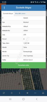 Bozkurt Alıkurtta Cevız Tarlası