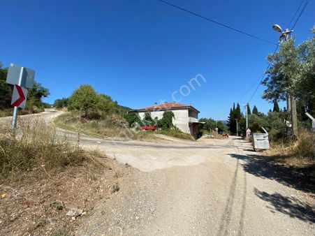 Satılık Mudanya Işıklı Mahallesi 7741m2 Kadastro Yoluna Cephe Fırsat Arazi