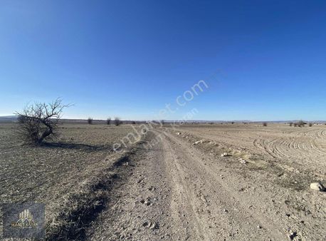 Hamit Karan Gayrimenkul Satılık Tarla