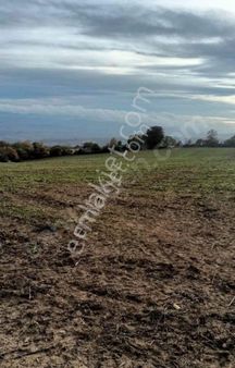 Çanakkale Çan Üvezdere Köyü Yatırımlık Fırsat Satılık Tarla