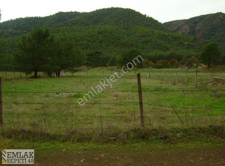 Söğüt Girişinde Ana Yola 40 M. Mesafede 566m2 Mükemmel Fırsat