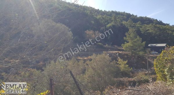 Söğüt Merkezde Çift Tarafı Yol Olan Arsa. Yatırım İçin Fırsat