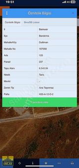 Balıkesir Bandırma Dutlimanı 6500m2 Deniz Manzaralı