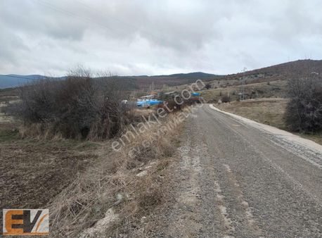 Mihalıççık Tatarcıkda Yola Cephe 7 Dönüm Tarla