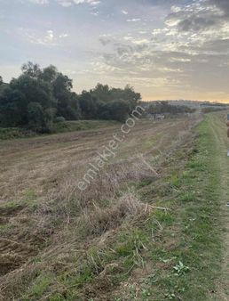 Silivri Kadıköy Elbasan Sınırında Satılık 1300 M2 Parsel