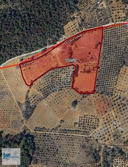 Torbalı Çamlıca Da Yola Geniş Cepheli 22 Dönüm Kupon Tarla !