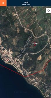 3.296 M2 Deniz Manzaralı Zeytinlik