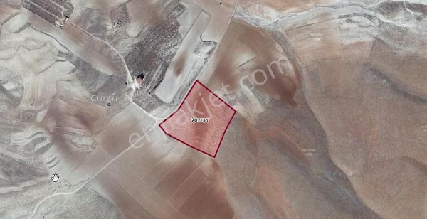 Antalya Korkuteli Beğiş Mahallesi Satılık Tarla