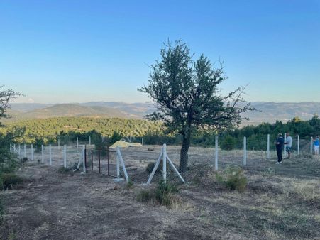 Buse Emlaktan Havran Kalabakta Muhteşem Doğa Manzarasıyla Yatırımlık Tarla