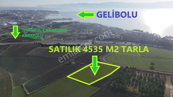 Geliboluda 5000 Lik İmar Planı İçinde Satılık Yatırımlık Arazi, Tarla