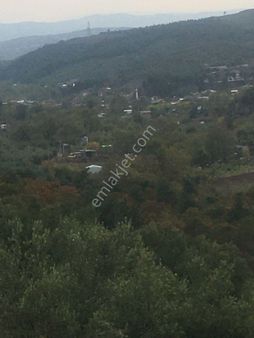 Satılık Bursa Mudanya İpek Yayla Tarla