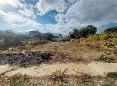 Yunus Tan Şeyh Sinan Mahallesi'nde Kupon Arsa