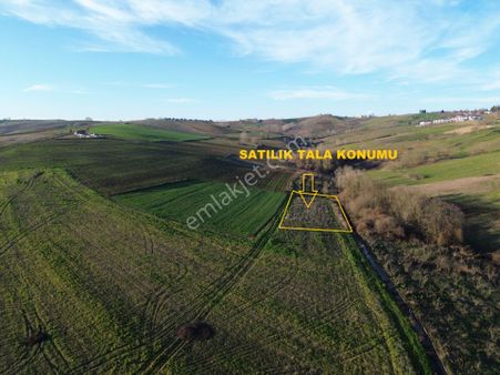 Kocaeli İzmit Bağlıca Satılık Suyu Olan Yatırımlık Fırsat Tarla