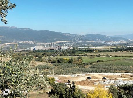 Bursa Emlakalem-igemiçde 1.dönüm Full Manzaralı Fırsat Zeytinlik