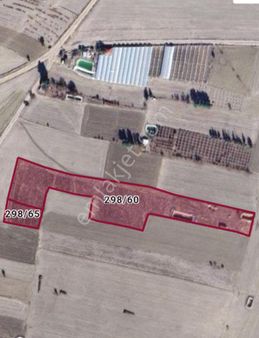 Antalya Korkuteli Büyük Köy Satılık Tarla