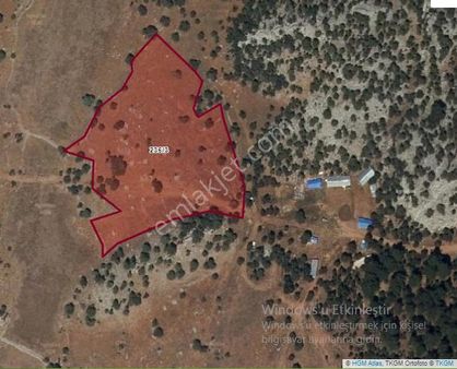 Konya Derebucak Yeni Çamlık Mah.satılık Tarla 9849 M2 Hayvancılık İçin Uyğun