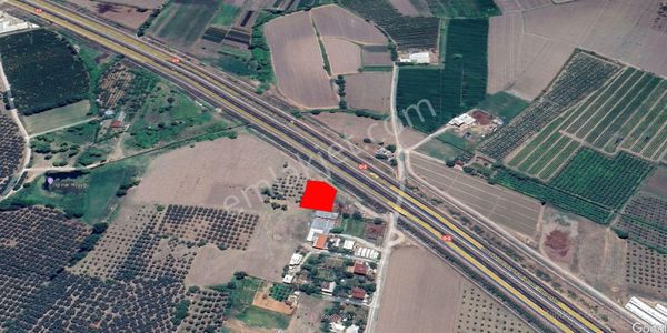 Roma' Dan Çeltikçi' De Satılık Tarla