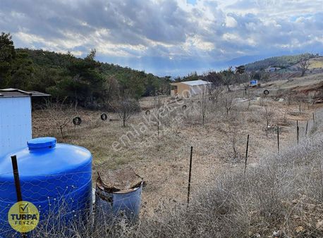 Kemalpaşa Damlacık Satılık Tarla