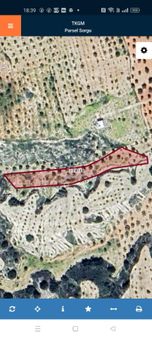 Akyol Gayrimenkul Den Satlık Nizip Kızılca Kentde Zeytin Fıstık Tarlası 2574 Mt