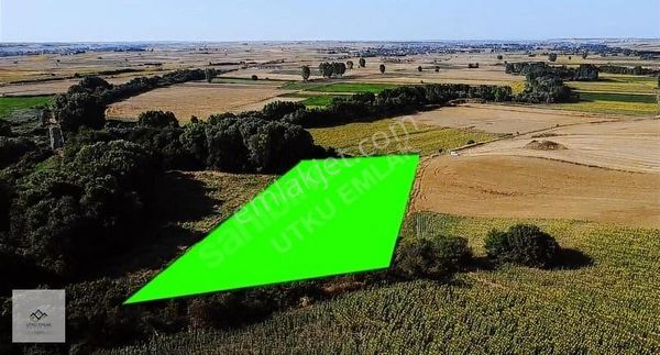 Babaeski Nadırlı Nın En Uygun Tarlası 8307 M2 Hızlıtrene Yakın