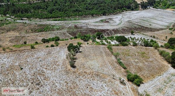 Balıkesir Bigadiçte 3.525 M2 Yatırımlık Arazi