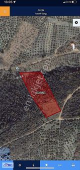 Deniz Manzaralı 4745 Metre Zeytinlik İçerisinde Bağ Evi