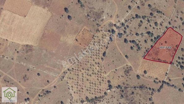 Keşfedilmemiş Ege Şehri Uşak'ta 4193 M2 Tarla Metresi 48 Tl