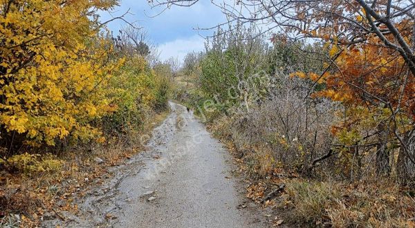 Bayramiç Serhat Köyünde Kadastral Yola Cepheli Satılık Tarla