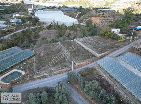 Gazipaşa Kırahmetler Mahallesinde 6 Dönüm Satılık Tarla