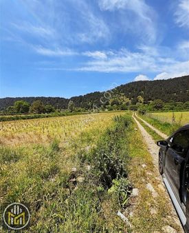 Ana Yola Sıfır Satılık Tarla