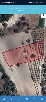 Seydikemer Korubükü’ 2266 M2 Müstakil Parsel Satılık