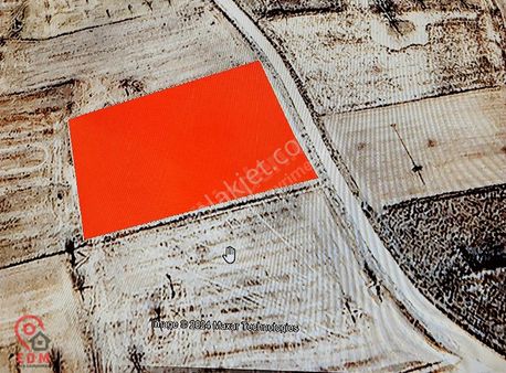 Edirne Meriç Rahmancada Satılık Kupon Tarla