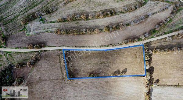 Ayvacık Kösedere Köyünde 7300 M2 Satılık Tarla Han Emlak'tan